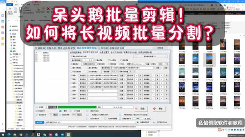 呆頭鵝批量剪輯矩陣系統(tǒng) 想知道如何將長(zhǎng)視頻批量分割